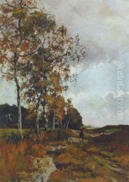 A Shepherd And His Flock Returning Home Along A Birchroad - view 1