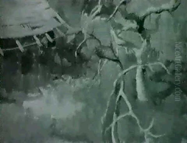 Bare Fig Tree - view 1