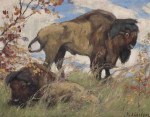 Bison