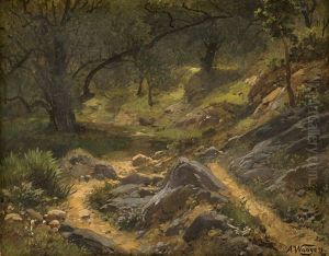 Waldlandschaft Mit Steinigem Pfad Waldlandschaft Mit Steinigem Pfad