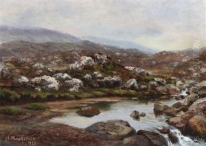Faroese Landscape On A Misty Day