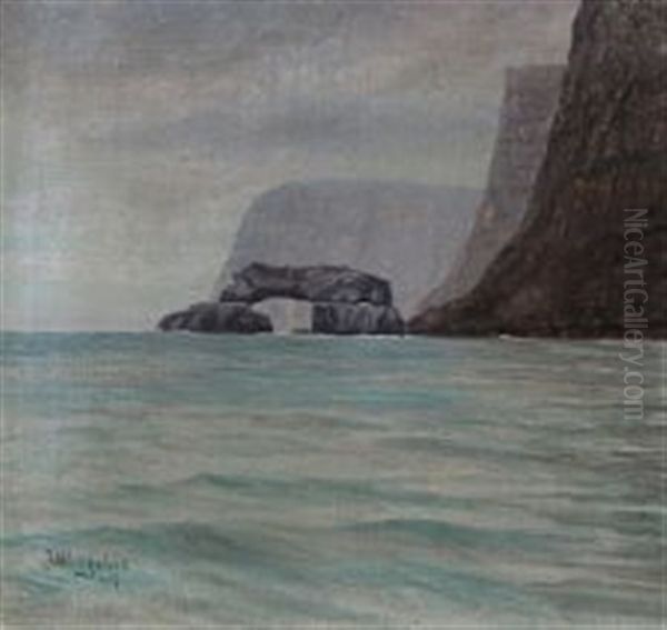 Coastal Scene From The Faroe Islands - view 1