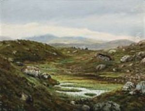 Landscape From The Faroe Islands by Joen Waagstein