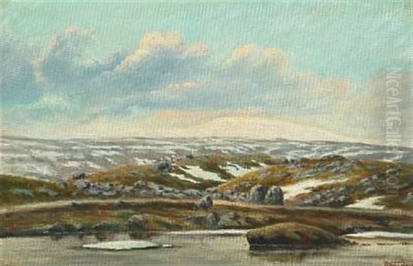 Coastal Scene From The Faroe Islands - view 1