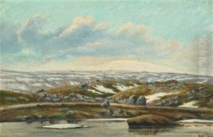 Coastal Scene From The Faroe Islands by Joen Waagstein