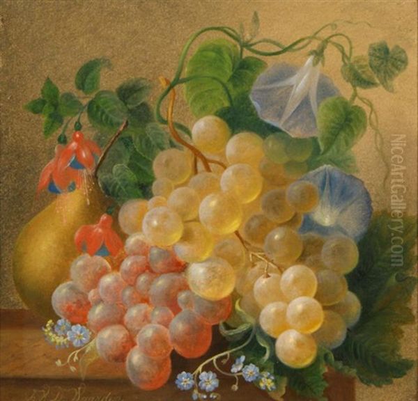 Still Life - view 1
