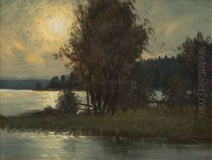 Am Schweriner See by Friedrich Wachenhusen