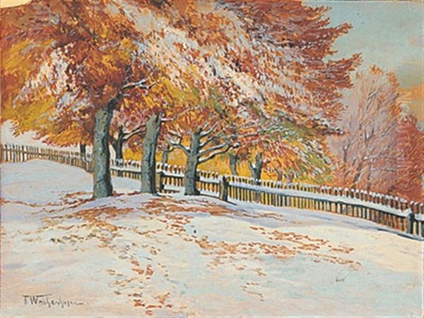 Herbstschnee Am Schifferberg - view 1