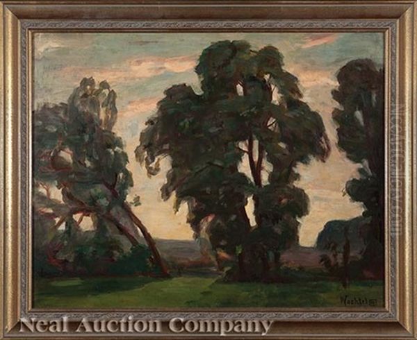 Grove Of Trees - view 1