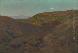 Shadows On The Hills