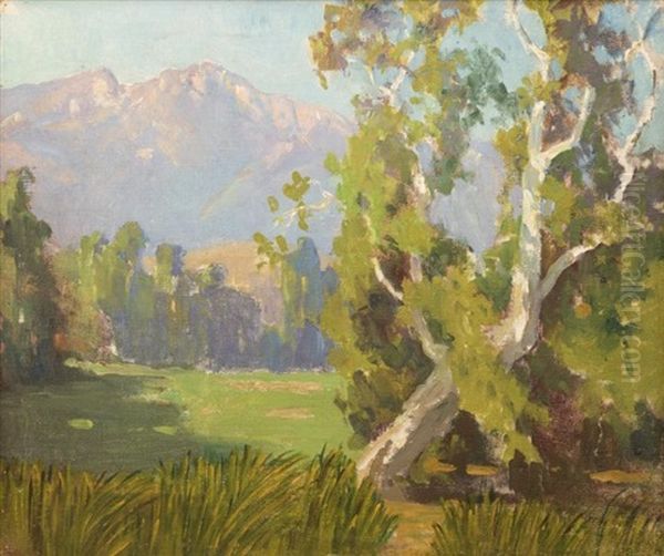 Sycamore Landscape - view 1