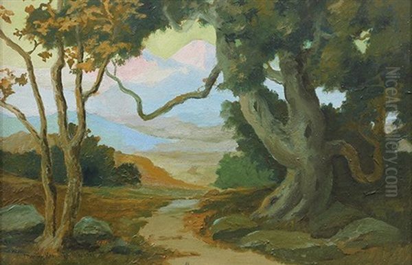 Path Beneath The Trees - view 1