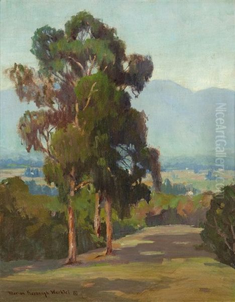 Eucalyptus Landscape - view 1