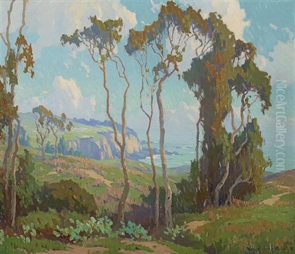 Eucalyptus In Laguna Hills - view 1