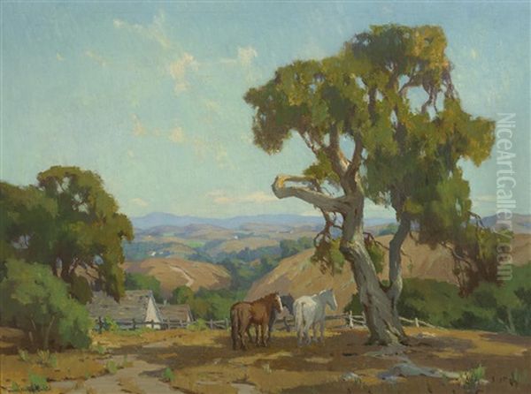 Horses On A Ranch - view 1