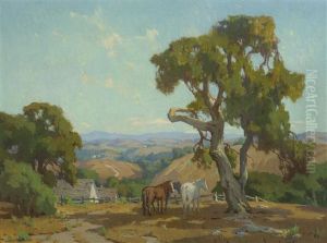 Horses On A Ranch