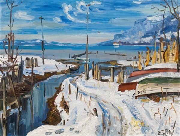 Bodenseelandschaft (schnee Im Marz) - view 1