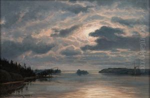 Moonlight In Archipelago Moonlight In Archipelago
