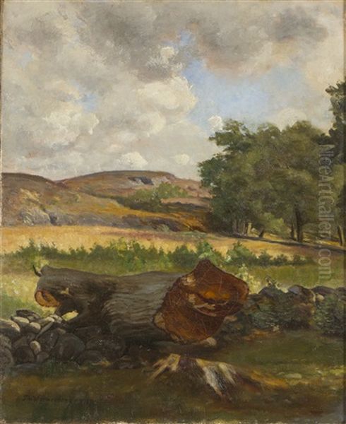 Landscape - view 1