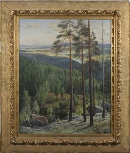 Landscape From Himos Landscape From Himos