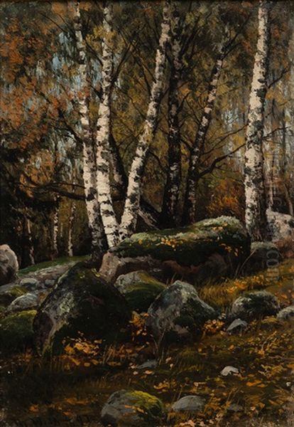Birch Trees - view 1