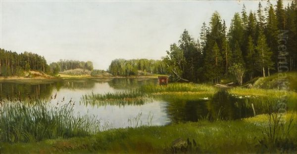 Landscape - view 1