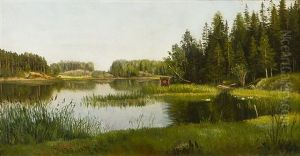 Landscape Landscape