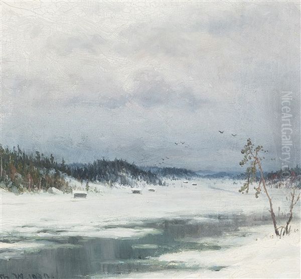 Winter - view 1