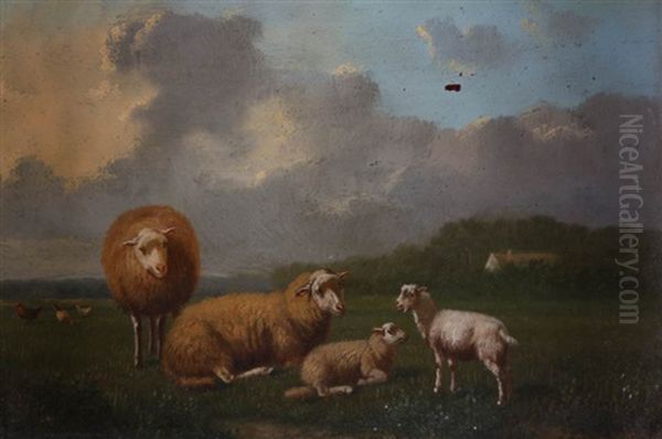 Moutons - view 1