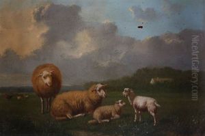 Moutons by Arthur De Waerhert