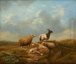 Moutons Et Bouc Avant L'orage by Arthur De Waerhert