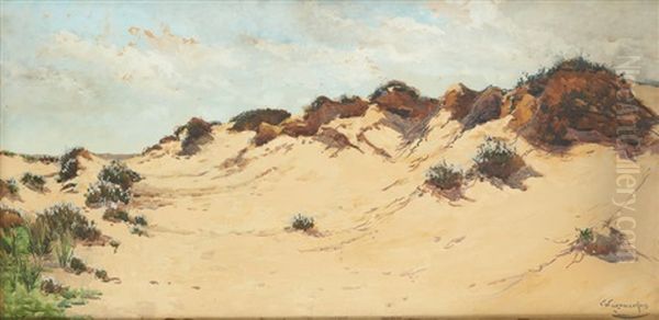 Dunes - view 1