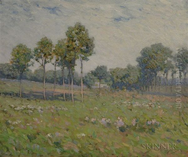 Spring Landscape - view 1