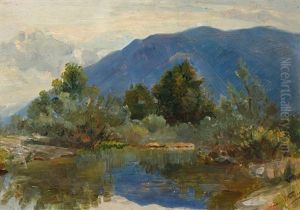 Sommerliche Landschaft Mit Tumpel Sommerliche Landschaft Mit Tumpel