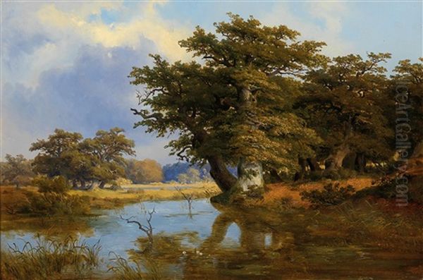 Old Oak Trees On The Riverbank - view 1