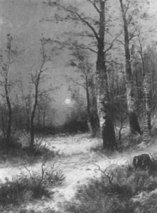 Winterwald Winterwald