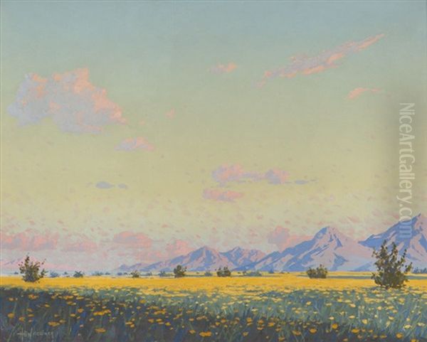 Desert Sunshine - view 1