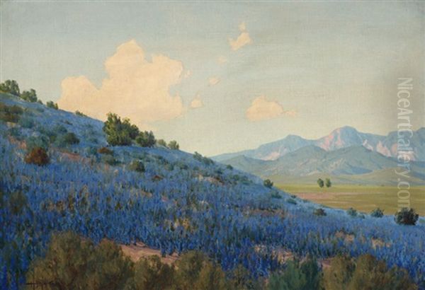 When Spring Comes, Hemmet (sic) Valley Cal., Landscape With Wildflowers - view 1
