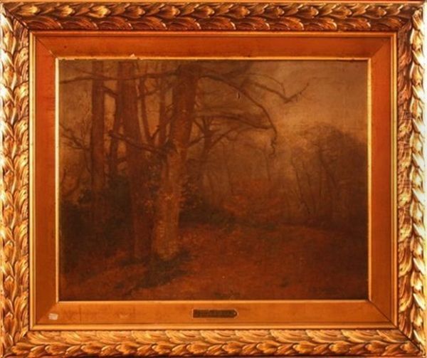 Foret De Fontainebleau - view 1