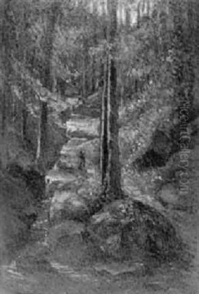 Waldinneres Mit Bachlauf - view 1