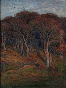 Solbelysta Trad by Charlotte Constance Wahlstroem