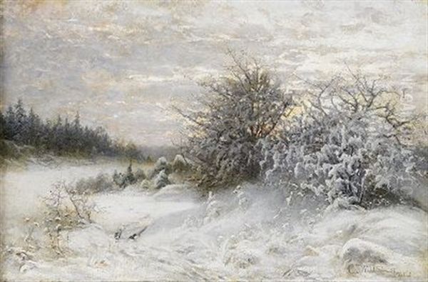 Vinterlandskap, Uppland - view 1