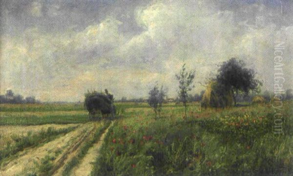 Blommande Vallmofalt - Motiv Fran Frankrike - view 1