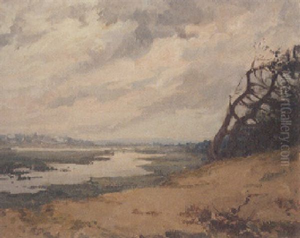 Teichlandschaft - view 1