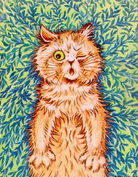 Startled Cat - view 1