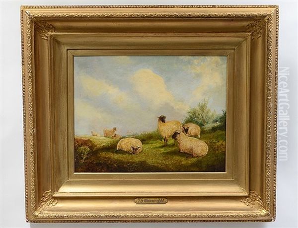 Sheep In A Meadow - view 1