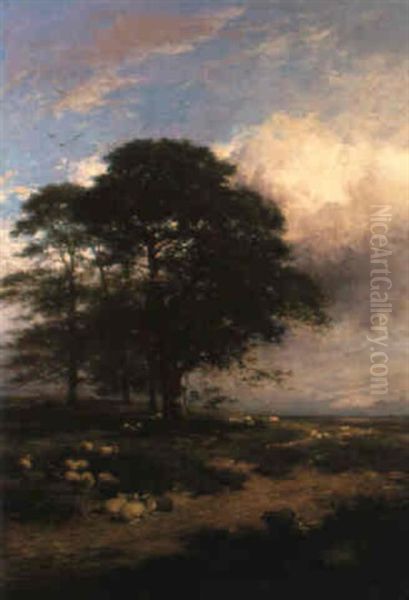 Landscape With Sheep Grazing - view 1