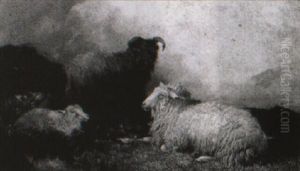 Sheep In A Landscape Sheep In A Landscape