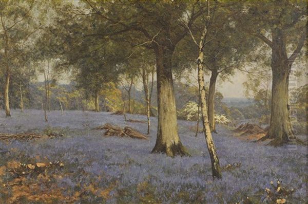 Edward Wilkins Waite (1854-1924), Oil On Canvas, Bluebell Woods, Signed Lower Right 49cm X 75cm - view 1