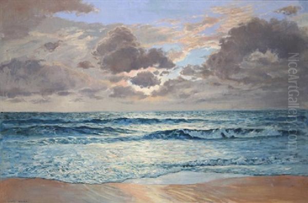 Sunset At The Ocean's Edge - view 1